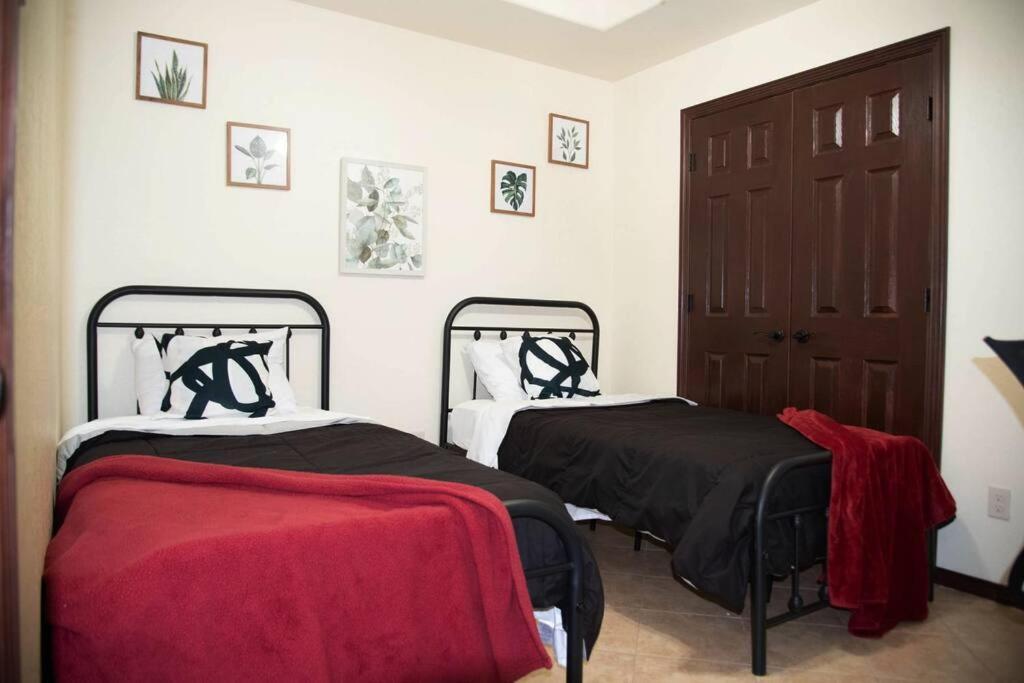 1 Min To University Utrgv 2Bd 2Bt Town Suite Edinburg Exterior foto